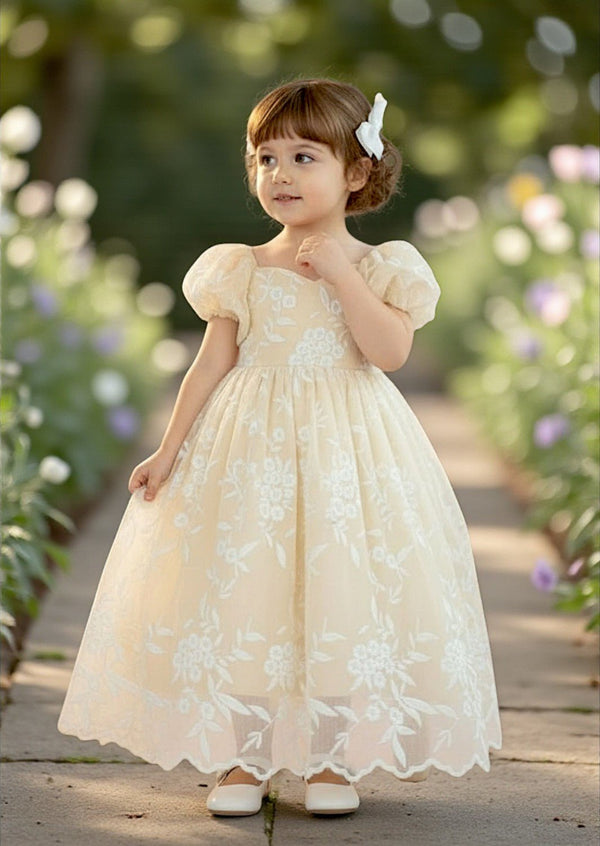 Embroidered Lace Gown Ivory - 