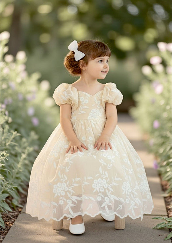 Embroidered Lace Gown Ivory - 