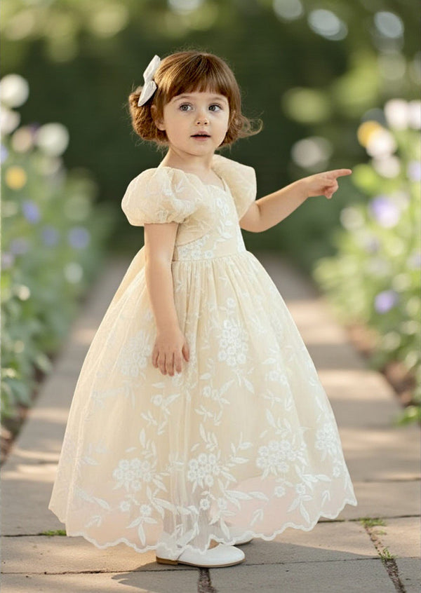 Embroidered Lace Gown Ivory - 