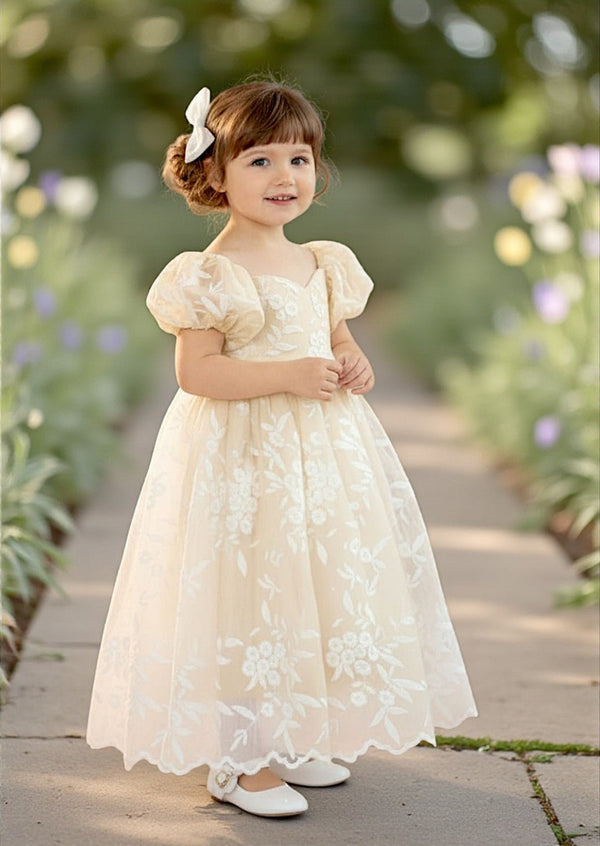 Embroidered Lace Gown Ivory - 