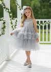 Faelia Dress in Gray - 