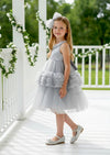 Faelia Dress in Gray - 