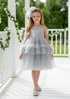 Faelia Dress in Gray - 