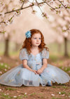 Garden Fairy Dress in Blue - 