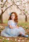 Garden Fairy Dress in Blue - 