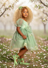 Garden Fairy Dress in Sage Green - 