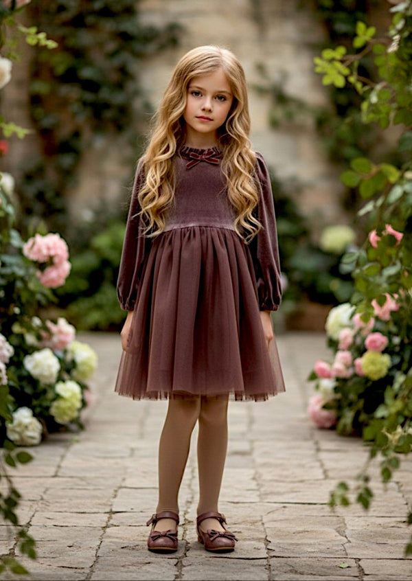 Giada Long Sleeve Dress in Chocolate - 