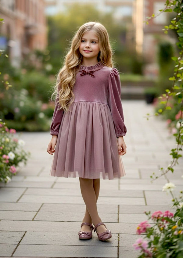 Giada Long Sleeve Dress in Mauve Pink - 