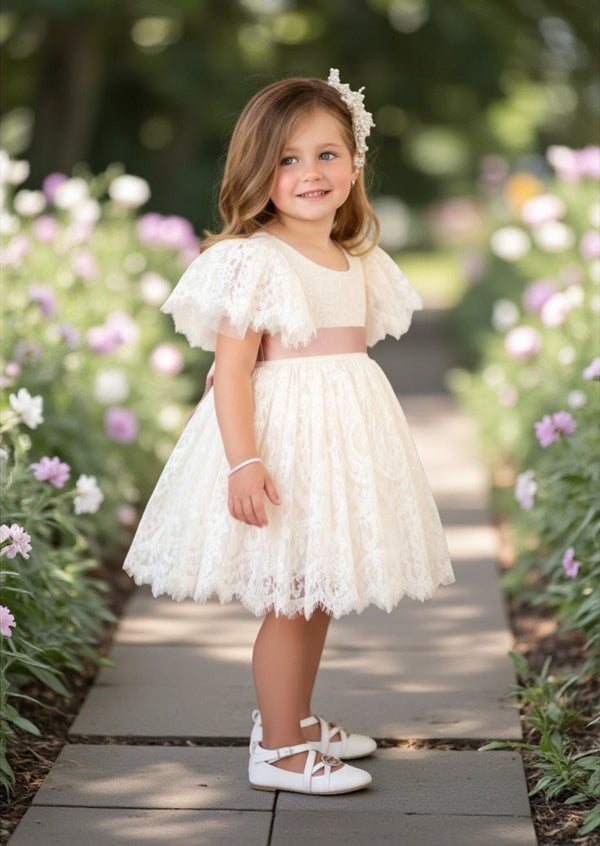 Knee Length Lace Dress in Ivory - 