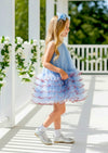 Mianna Dress in Blue - 