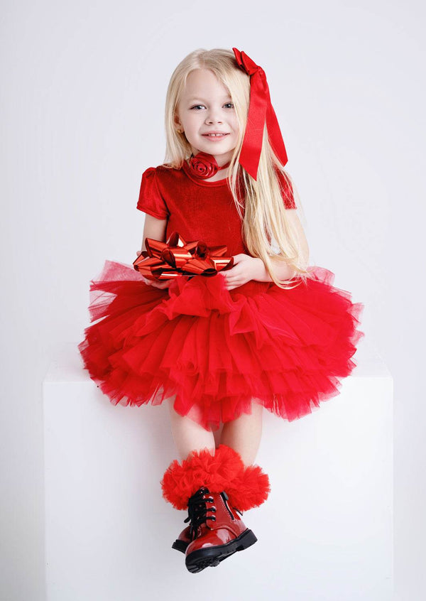 Rosy Red Velvet Tutu Dress - 