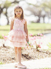 Pink Layered Tulle Birthday Party Dress - 