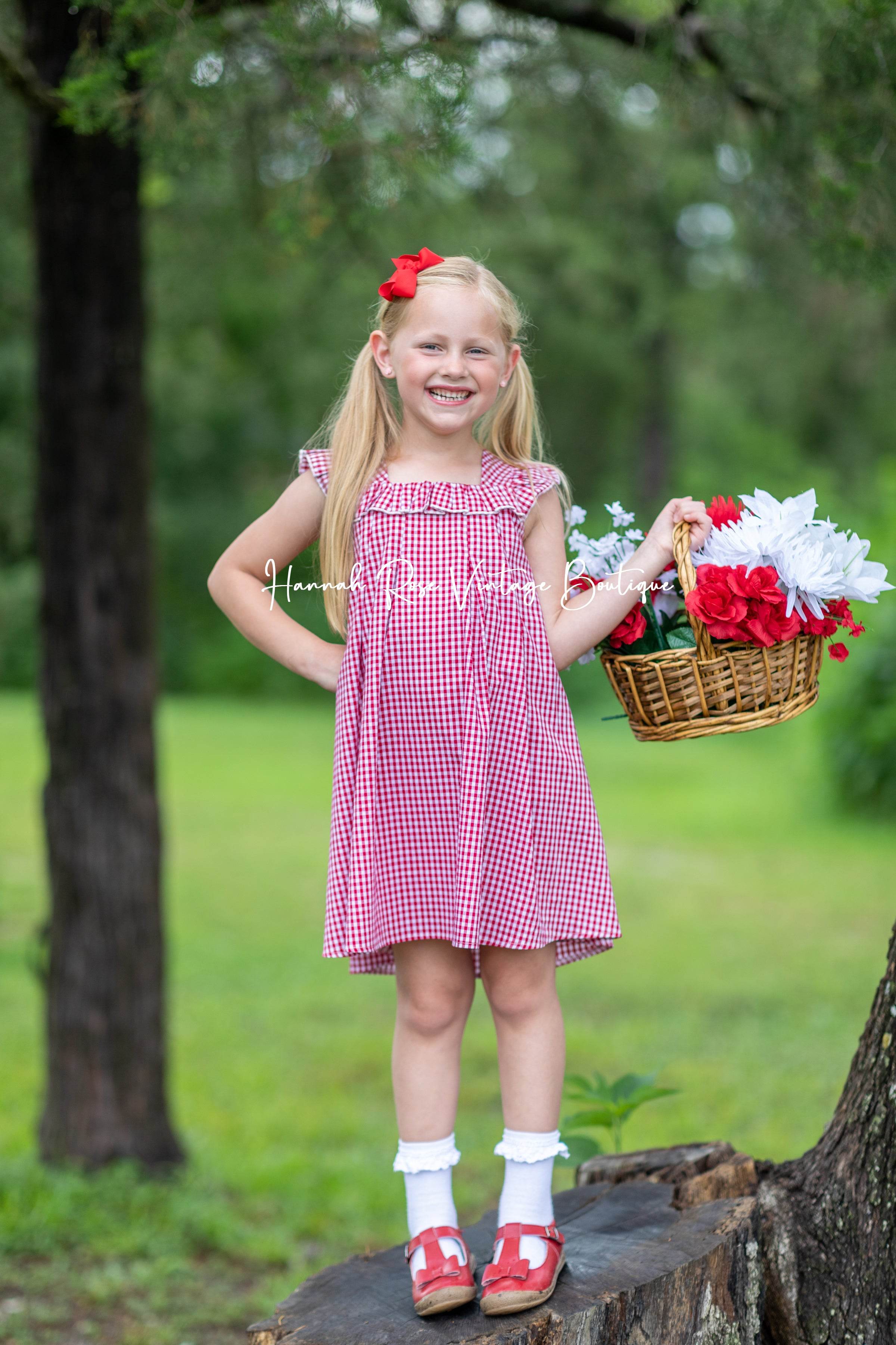 Classic Gingham Check Dress